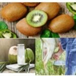 Do you know these food items that can get rid of dengue quickly..?